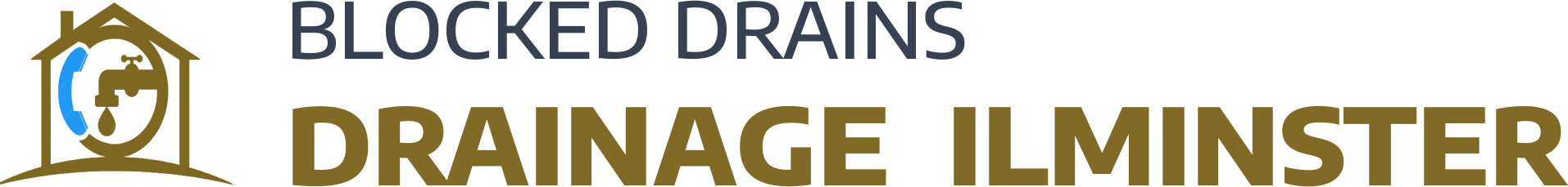website logo